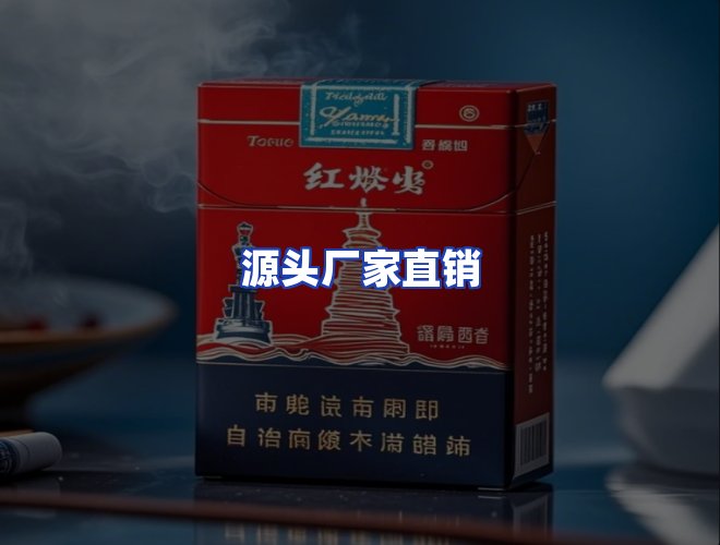 专业团队